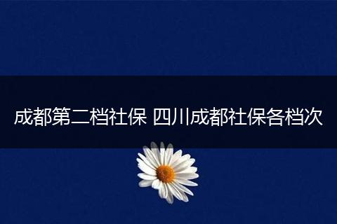 成都第二档社保 四川成都社保各档次