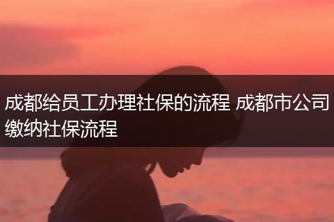 成都给员工办理社保的流程 成都市公司缴纳社保流程