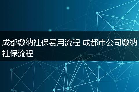 成都缴纳社保费用流程 成都市公司缴纳社保流程