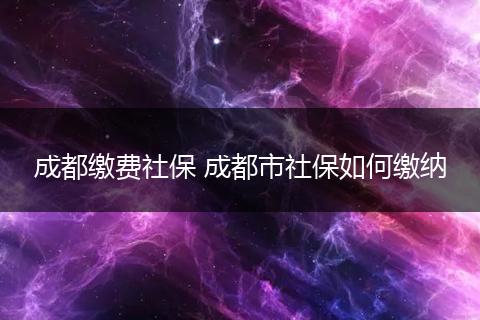 成都缴费社保 成都市社保如何缴纳