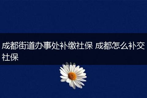 成都街道办事处补缴社保 成都怎么补交社保