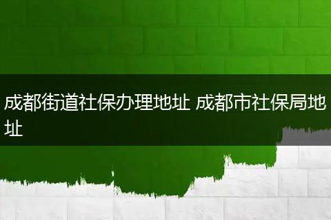 成都街道社保办理地址 成都市社保局地址