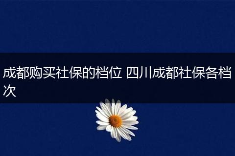 成都购买社保的档位 四川成都社保各档次