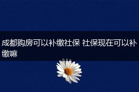 成都购房可以补缴社保 社保现在可以补缴嘛