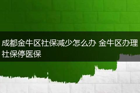 成都金牛区社保减少怎么办 金牛区办理社保停医保