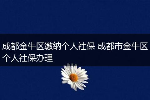 成都金牛区缴纳个人社保 成都市金牛区个人社保办理