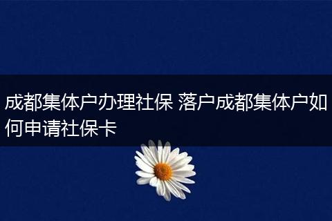成都集体户办理社保 落户成都集体户如何申请社保卡