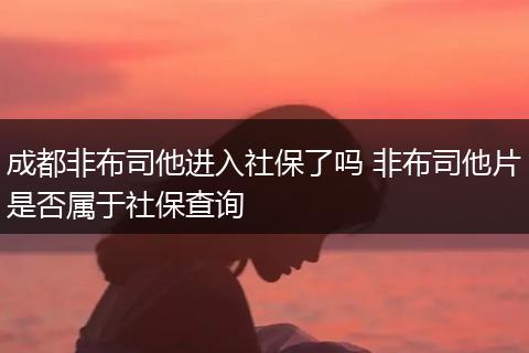成都非布司他进入社保了吗 非布司他片是否属于社保查询
