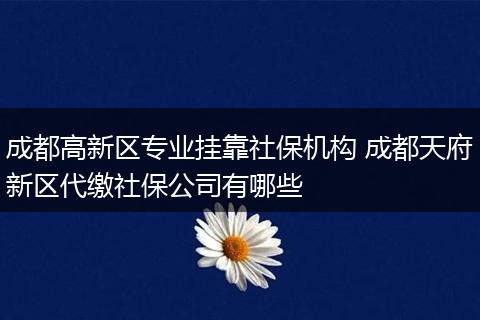 成都高新区专业挂靠社保机构 成都天府新区代缴社保公司有哪些