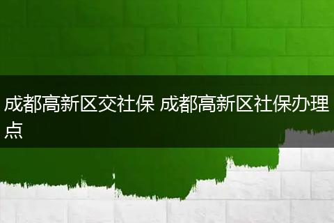成都高新区交社保 成都高新区社保办理点