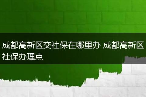 成都高新区交社保在哪里办 成都高新区社保办理点