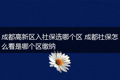 成都高新区入社保选哪个区 成都社保怎么看是哪个区缴纳
