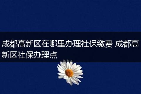 成都高新区在哪里办理社保缴费 成都高新区社保办理点