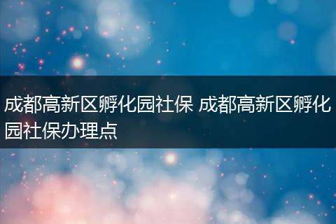 成都高新区孵化园社保 成都高新区孵化园社保办理点