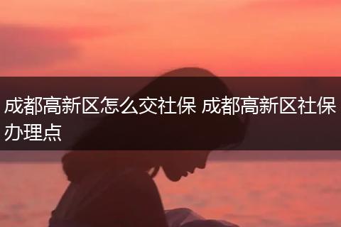 成都高新区怎么交社保 成都高新区社保办理点
