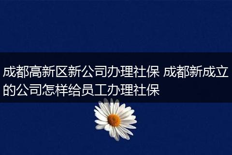 成都高新区新公司办理社保 成都新成立的公司怎样给员工办理社保