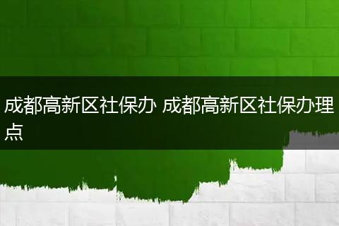 成都高新区社保办 成都高新区社保办理点