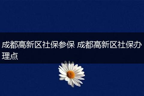 成都高新区社保参保 成都高新区社保办理点