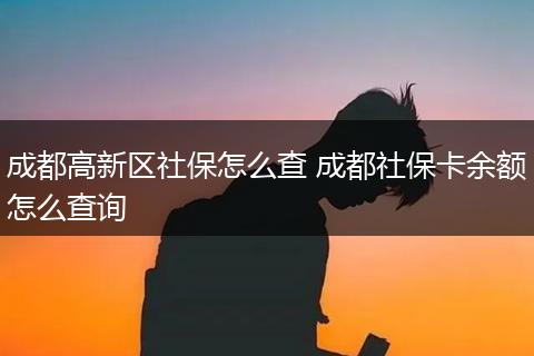 成都高新区社保怎么查 成都社保卡余额怎么查询