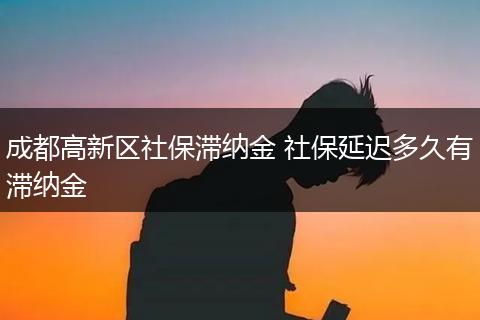 成都高新区社保滞纳金 社保延迟多久有滞纳金