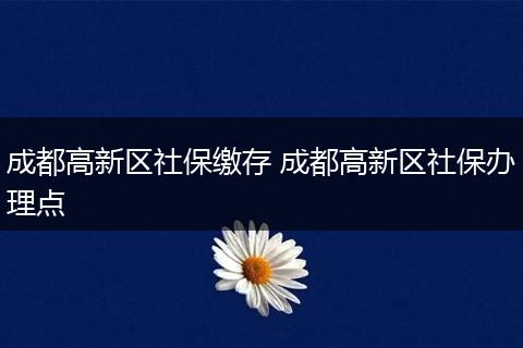 成都高新区社保缴存 成都高新区社保办理点