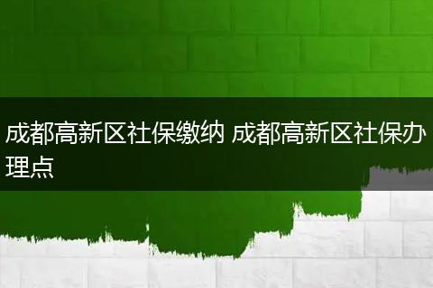 成都高新区社保缴纳 成都高新区社保办理点