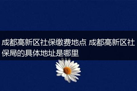成都高新区社保缴费地点 成都高新区社保局的具体地址是哪里