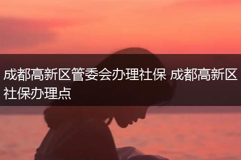 成都高新区管委会办理社保 成都高新区社保办理点
