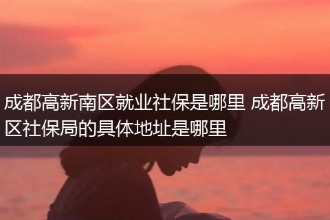 成都高新南区就业社保是哪里 成都高新区社保局的具体地址是哪里