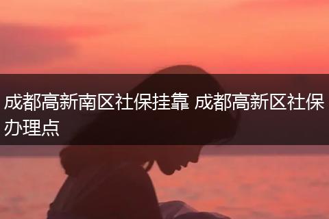 成都高新南区社保挂靠 成都高新区社保办理点