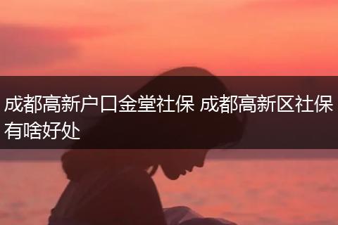 成都高新户口金堂社保 成都高新区社保有啥好处