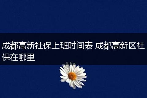 成都高新社保上班时间表 成都高新区社保在哪里