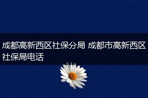 成都高新西区社保分局 成都市高新西区社保局电话
