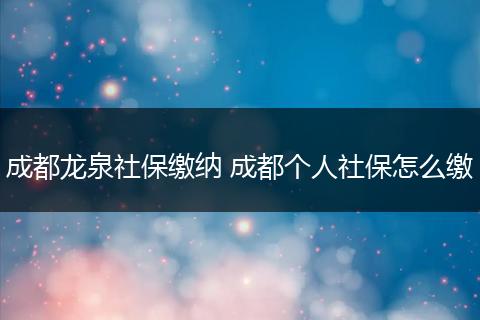 成都龙泉社保缴纳 成都个人社保怎么缴