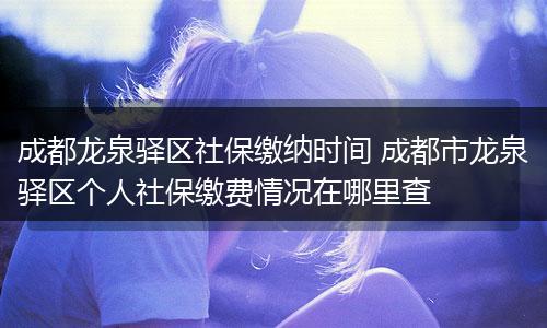成都龙泉驿区社保缴纳时间 成都市龙泉驿区个人社保缴费情况在哪里查