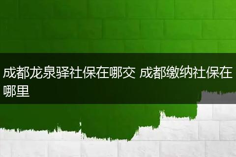 成都龙泉驿社保在哪交 成都缴纳社保在哪里