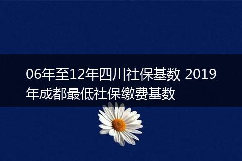 06年至12年四川社保基数 2019年成都最低社保缴费基数