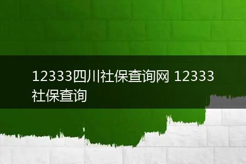 12333四川社保查询网 12333社保查询