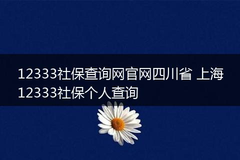 12333社保查询网官网四川省 上海12333社保个人查询