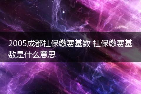 2005成都社保缴费基数 社保缴费基数是什么意思