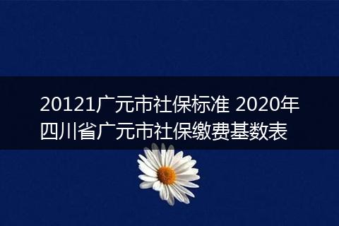20121广元市社保标准 2020年四川省广元市社保缴费基数表