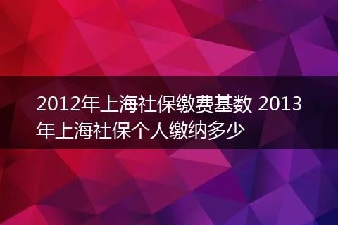 2012年上海社保缴费基数 2013年上海社保个人缴纳多少