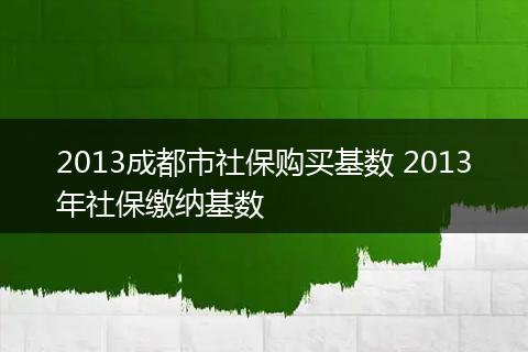 2013成都市社保购买基数 2013年社保缴纳基数