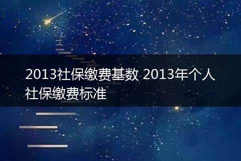 2013社保缴费基数 2013年个人社保缴费标准