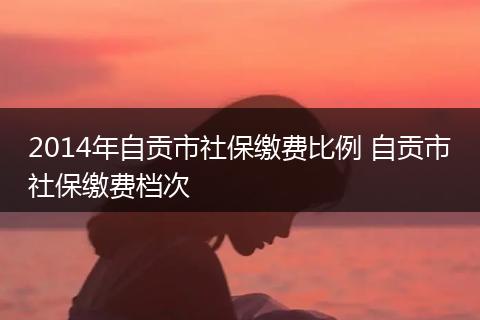 2014年自贡市社保缴费比例 自贡市社保缴费档次