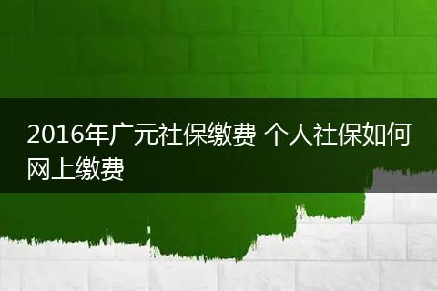 2016年广元社保缴费 个人社保如何网上缴费