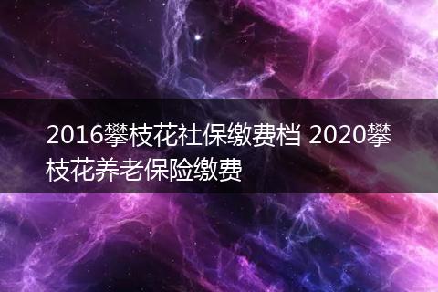 2016攀枝花社保缴费档 2020攀枝花养老保险缴费