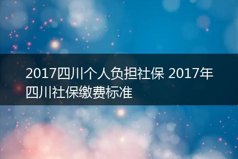 2017四川个人负担社保 2017年四川社保缴费标准