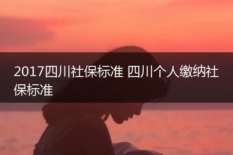 2017四川社保标准 四川个人缴纳社保标准