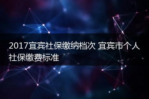 2017宜宾社保缴纳档次 宜宾市个人社保缴费标准